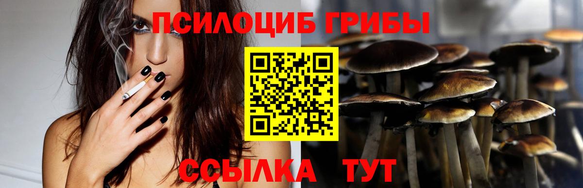 Псилоцибиновые грибы мухоморы Рузаевка