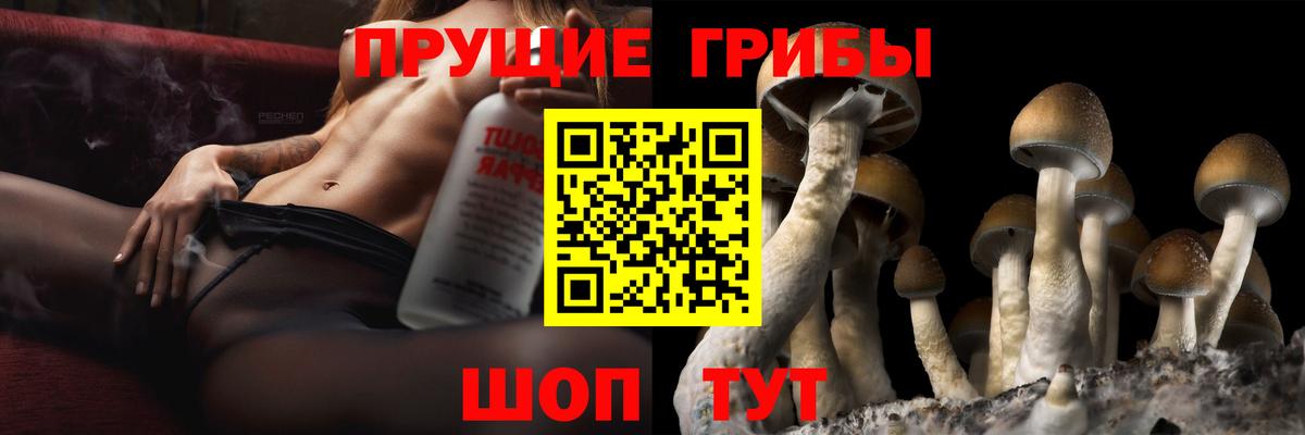 Псилоцибиновые грибы GOLDEN TEACHER  Вход с VPN  Псилоцибиновые грибы Magic Shrooms  Рузаевка 